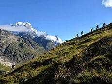 UTMB