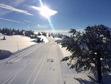 sjusjoen