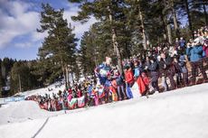NordicFocus 18.03.2017, Oslo, Norway (NOR):Johannes Thingnes Boe (NOR) - IBU world cup biathlon, pursuit men, Oslo (NOR). www.nordicfocus.com. © Manzoni/NordicFocus. Every downloaded picture is fee-liable.