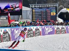 Hirscher Kranjska