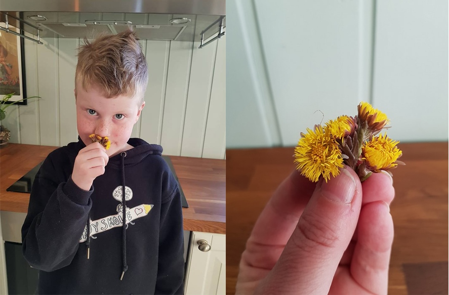 Årest første hestehov 2018