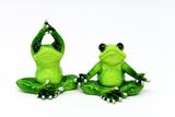 yoga-frosker
