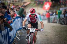 Michal Cerveny Michal Cerveny