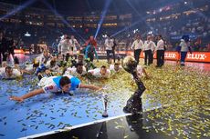 montpellier handball