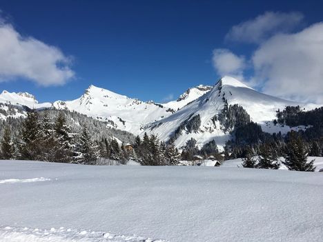 Praz de Lys Sommand