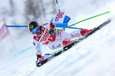 Hirscher Agence Zoom