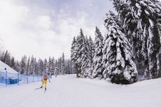 NordicFocus 16.01.2018, Antholz, Italy (ITA):Event Feature: Undefined swedish athlete competes on the track - IBU world cup biathlon, training, Antholz (ITA). www.nordicfocus.com. © Manzoni/NordicFocus. Every downloaded picture is fee-liable.