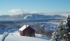 Turid Andreassen