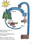 Co2 kretsløp Co2 kretsløp