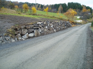 Skogsveg
