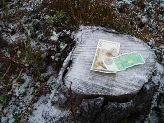 Skogfond