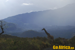Arusha Nasjonalpark