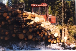 Random image