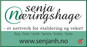 Logo Senja Næringshage