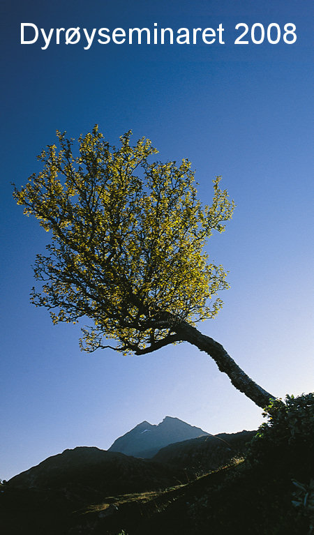 Dyr&oslash;yseminaret 2008 - seminarbj&oslash;rka