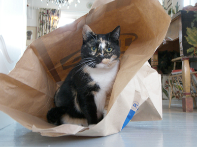Gunhilds katt