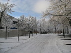 Rådhuset i vinterdrakt, med snø på trærne