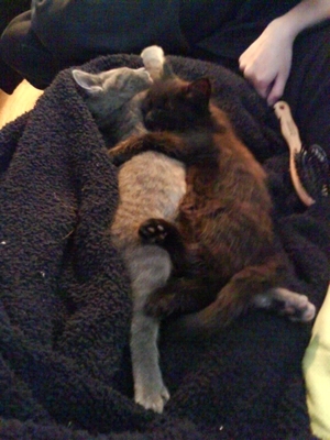 Remus og Theo  