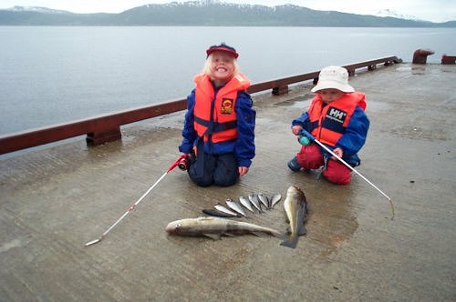 Småfiskere