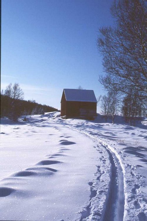 Stemningsbilde fra Finnefjellet