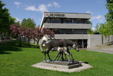 Rådhuset i Ås kommune