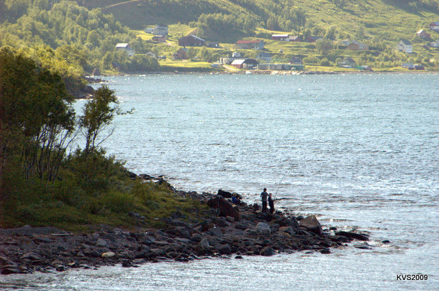 DSC_1454.jpg