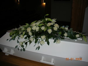 DSCN1874
