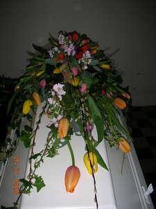 DSCN1891