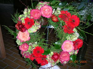DSCN1884