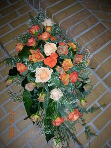 DSCN1882