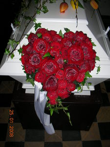 DSCN1888
