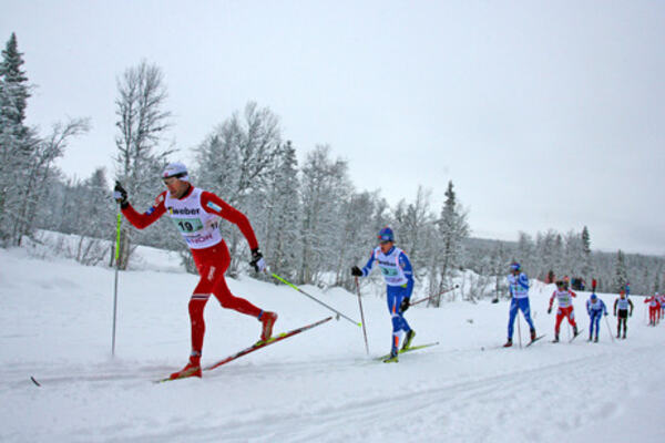 Group NordicFocus