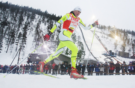 Majdic NordicFocus Majdic
