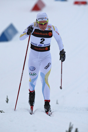 Falk NordicFocus Falk