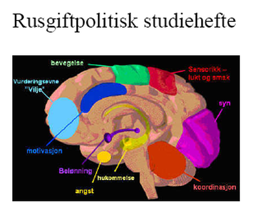 Studiehefte forside