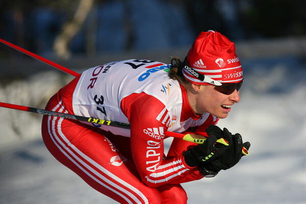 Boner NordicFocus