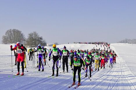 Masse Transju 50KM CT 2010_L