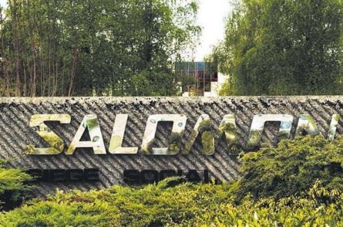 Salomon
