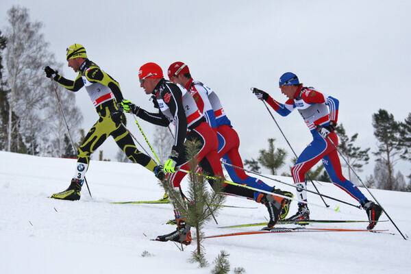 Group NordicFocus