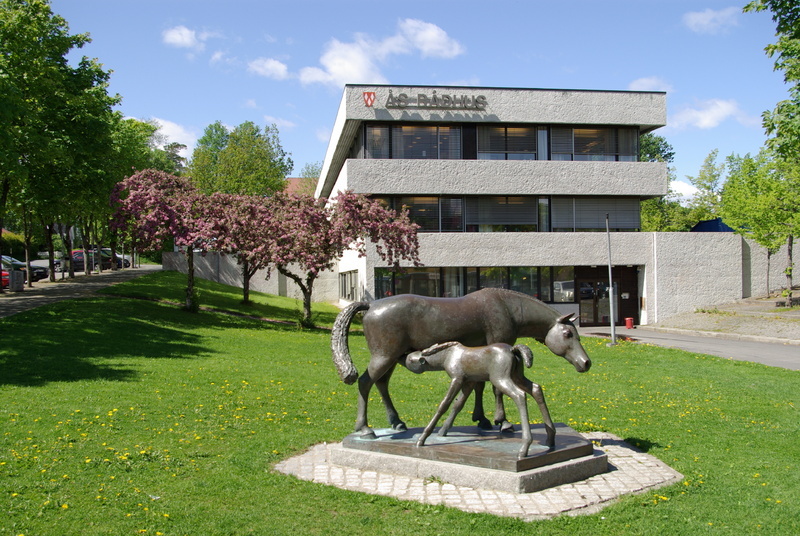 Ås rådhus Foto: Ivar Ola Opheim Ås rådhus
