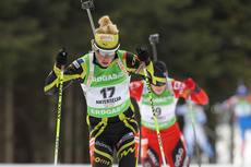 Dorin NordicFocus Dorin