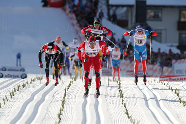 Group NordicFocus