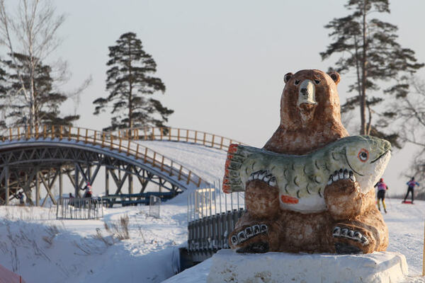 Feature NordicFocus