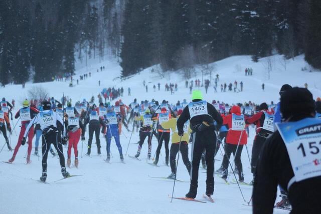 Transju 2012