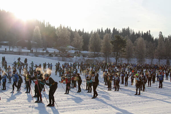 Feature NordicFocus