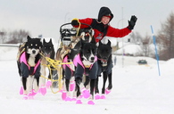 FINNMARKSLØPET 2010 Kirkenes: 16.03.2010 Det er få hundekjørere som byr så mye på seg selv som Nina Skramstad. Her er hun på Førstevatn på vei ut fra sjekkpunktet i Kirkenes.   FOTO: Ole-Johnny Myhrvold, Dine Bilder