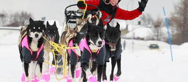 FINNMARKSLØPET 2010 Kirkenes: 16.03.2010 Det er få hundekjørere som byr så mye på seg selv som Nina Skramstad. Her er hun på Førstevatn på vei ut fra sjekkpunktet i Kirkenes.   FOTO: Ole-Johnny Myhrvold, Dine Bilder