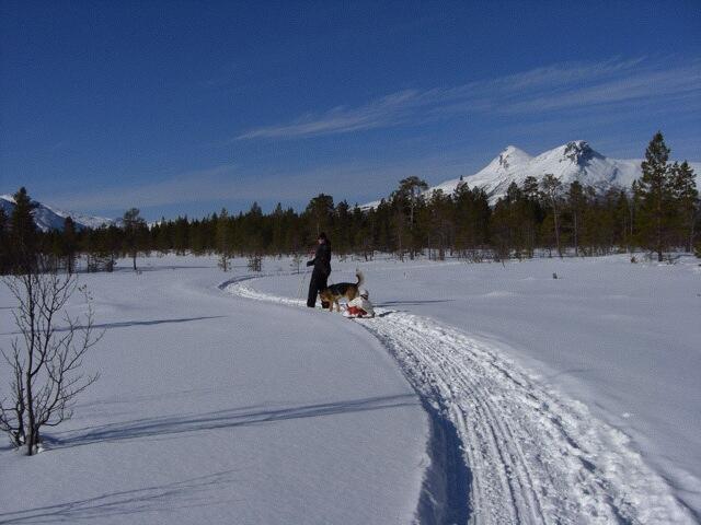 ski røyelen ski røyelen