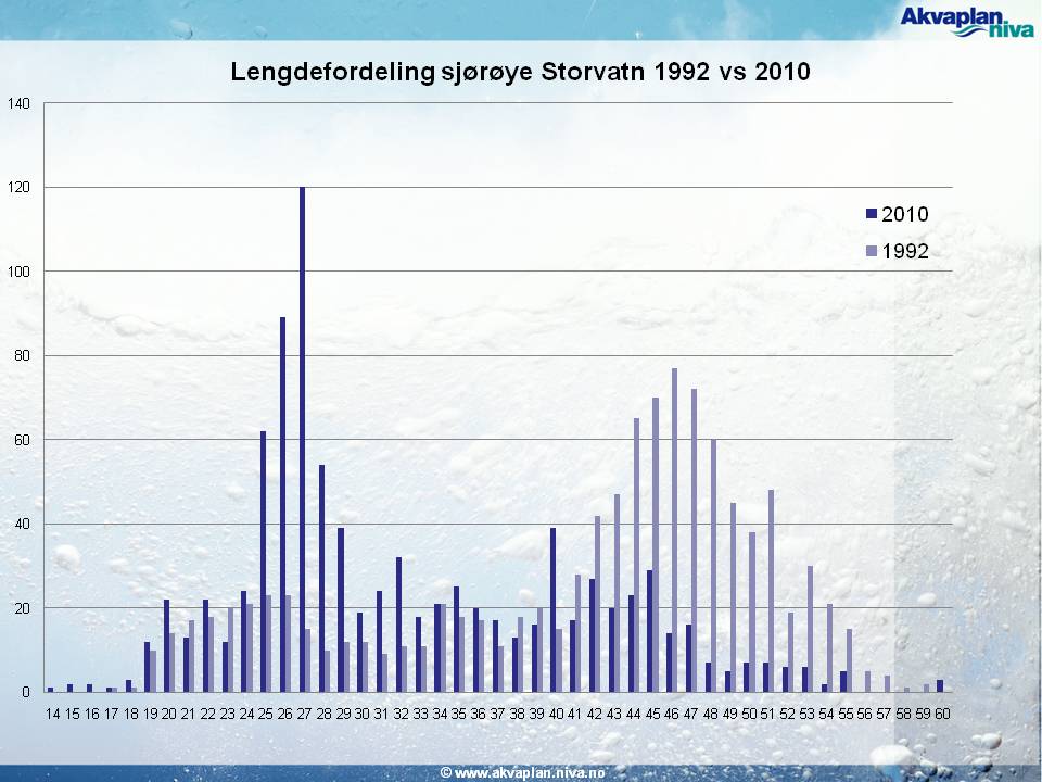Lysbilde5.JPG Lysbilde5.JPG