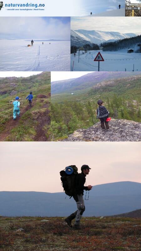 kollasje turopplevelser Picasa kollasje turopplevelser